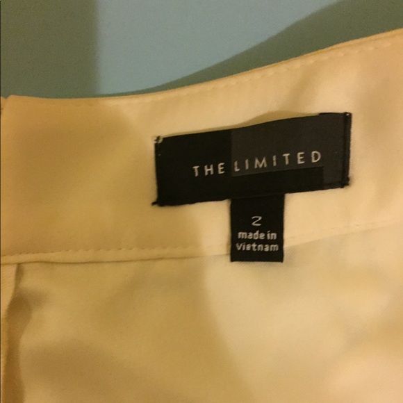 LACE SKIRT FROM THE LIMITED - gently used - Picture 5 of 5